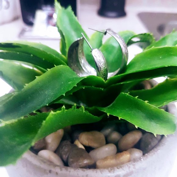 #J27  Mini Hoop Earrings - Picture 8 of 8